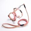 Generic Adjustable Floral Pet Harness And Leash