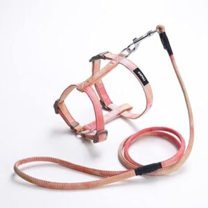 Generic Adjustable Floral Pet Harness And Leash