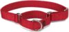 PetSafe Adjustable Martingale Collar, Tightens When Pulled