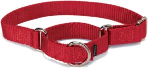 PetSafe Adjustable Martingale Collar, Tightens When Pulled