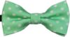 Heypet Adjustable Pet Bowtie Collar, Green D-T-3