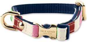kate spade new york Adjustable Stylish Dog Collar, Gold Buckle