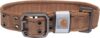 Carhartt Adjustable Wide Webbing Dog Collar, Medium