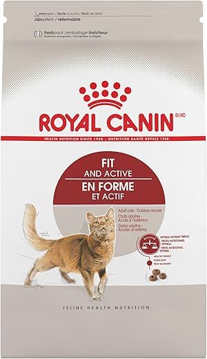 Royal Canin Adult Fit & Active Cat Food
