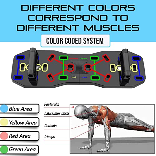 AERLANG Portable Foldable 10-in-1 Push Up Bar - Image 3