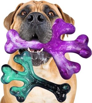 Frienhund Aggressive Chewers Dog Chew Toys: 2 Pack Indestructible Toy