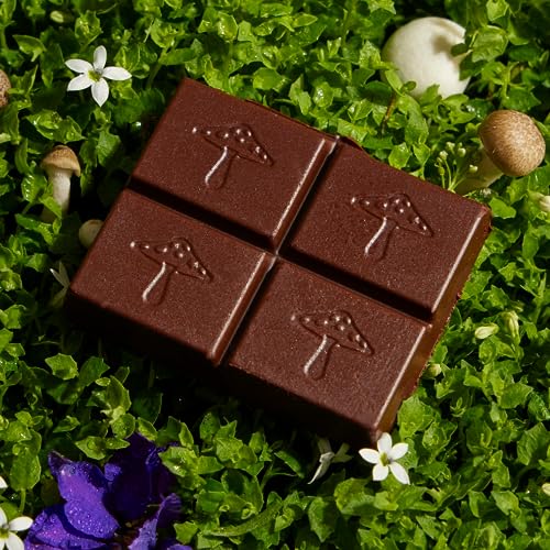 Alice Brainstorm Mushroom Chocolates Energy Bites - Image 3