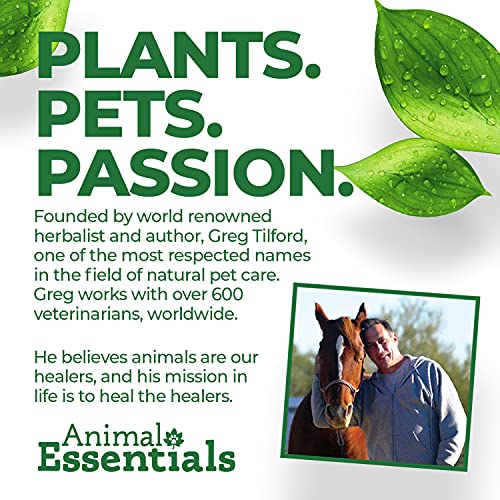 Animal Essentials Detox Blend Liver Support Supplement 2 Fl Oz - Image 4