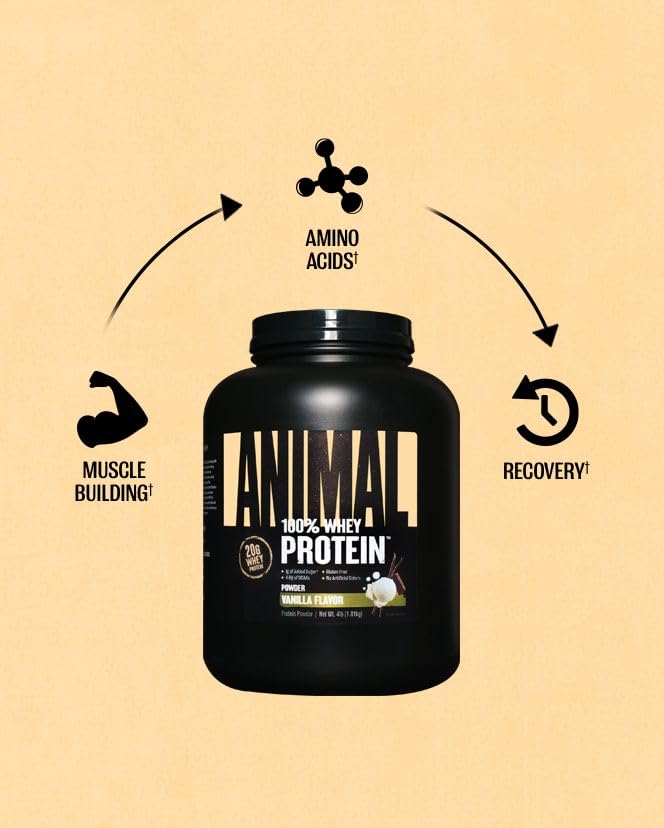 Animal Whey Protein Powder - Low Sugar Meal Replacement - Image 5