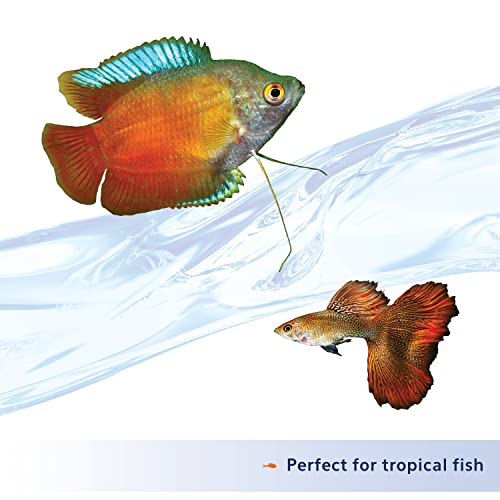 Aqueon Nutrinsect Tropical Flakes Fish Food, 1.59 oz - Image 4