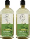 Bath & Body Works Aromatherapy Stress Relief Eucalyptus & Spearmint Shower Gel
