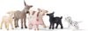 Schleich Baby Farm Animal Toy Set – 6 Pieces