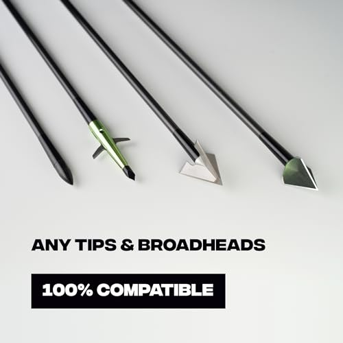 BALLISTA Hunting Arrows For Archery Bow - Carbon 30 - Image 4