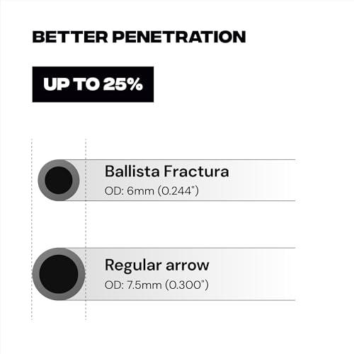 BALLISTA Hunting Arrows For Archery Bow - Carbon 30 - Image 2