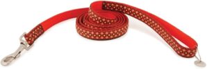 PetSafe Bark Avenue Dog Leash, Geometrix