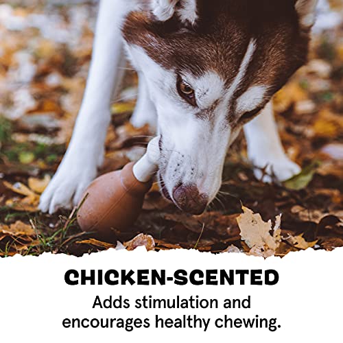 Barkbox Super Chewer Tough Dog Chew Toys - Image 4