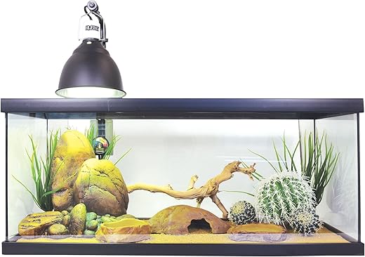 Exo Terra Bearded Dragon Starter Kit