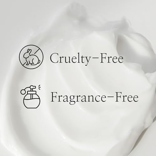 Beauty of Joseon Dynasty Cream Hydrating Face Moisturizer - Image 4