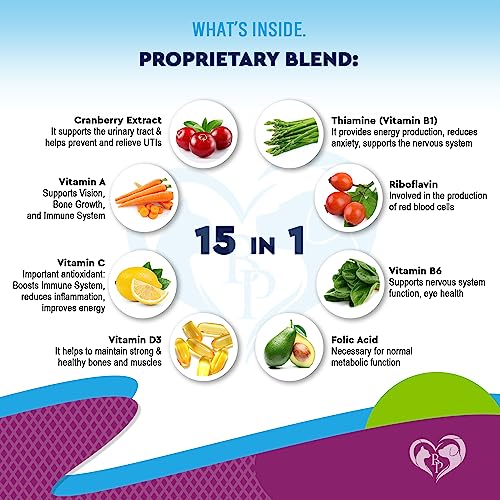Beloved Pets Cat & Dog Multivitamin Liquid Supplement - Image 3