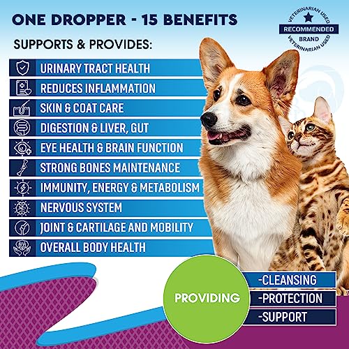 Beloved Pets Cat & Dog Multivitamin Liquid Supplement - Image 2