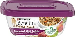 Beneful Beneful Wet Dog Food, Beef Entree