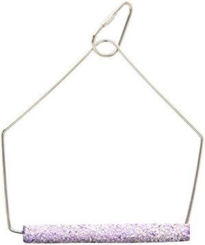 Penn-Plax Bird-Life Cement Swing Trims Nails & Beak