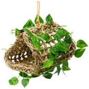 Penn-Plax Bird Life Loungers for Birds, Seagrass (REP708B)