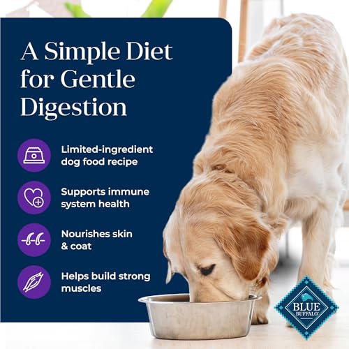 Blue Buffalo Basics Adult Dry Dog Food, Turkey Recipe - Image 3