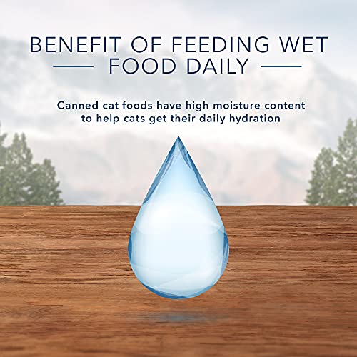 Blue Buffalo High Protein Adult Wet Cat Food Variety Pack - Image 4