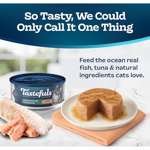 Blue Buffalo Ocean Fish And Tuna Entrée, 5.5-oz Cans - Image 3