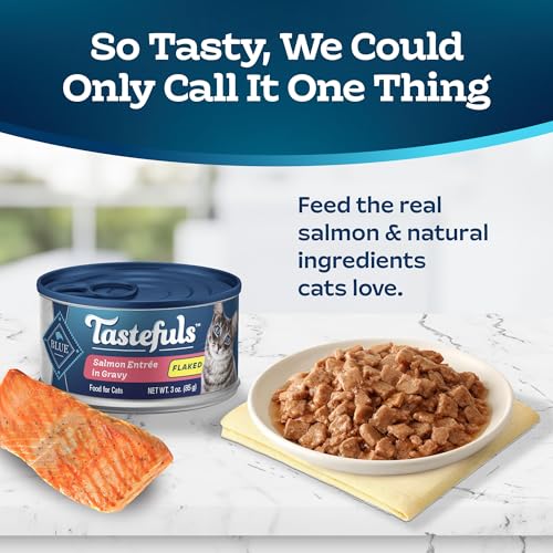 Blue Buffalo Tastefuls Flaked Salmon Wet Cat Food - Image 3