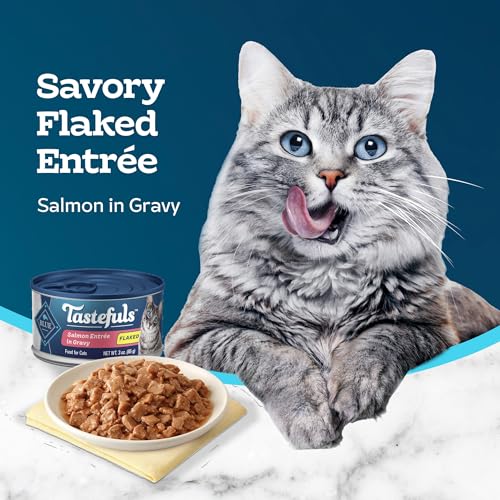 Blue Buffalo Tastefuls Flaked Salmon Wet Cat Food - Image 4