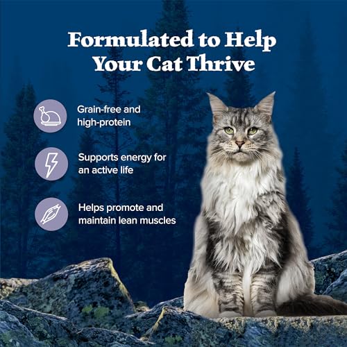 Blue Buffalo Wilderness Natural Chicken Wet Cat Food, 5.5-oz. Cans (24 Count) - Image 4