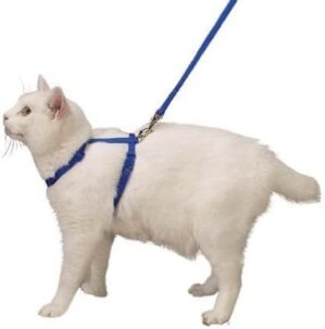 SAVVY TABBY Blue Nylon Adjustable Cat Harness