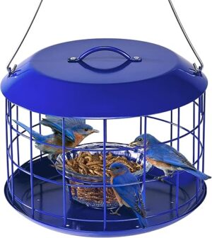 Kingsyard Bluebird Feeder, All Metal, Squirrel Proof