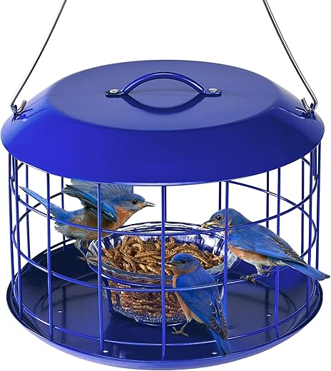 Kingsyard Bluebird Feeder, All Metal, Squirrel Proof