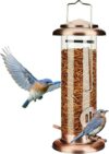 Kingsyard Bluebird Feeder – Antique Copper Metal