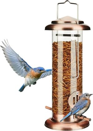 Kingsyard Bluebird Feeder – Antique Copper Metal