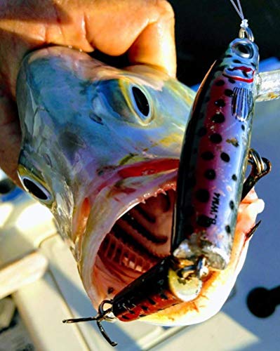 BOMBER Jointed Wake Minnow Fishing Lure - Image 3
