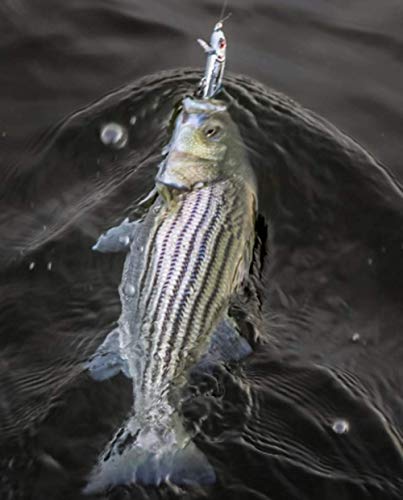 BOMBER Jointed Wake Minnow Fishing Lure - Image 2