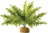 Exo Terra Boston Fern Terrarium Plant, Small