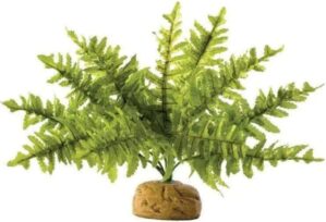 Exo Terra Boston Fern Terrarium Plant, Small