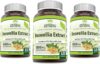 Herbal Secrets Boswellia Serrata Extract 600 mg Capsules