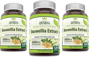 Herbal Secrets Boswellia Serrata Extract 600 mg Capsules