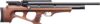Benjamin BPA22W .22-Caliber PCP Hunting Air Rifle