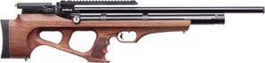 Benjamin BPA22W .22-Caliber PCP Hunting Air Rifle