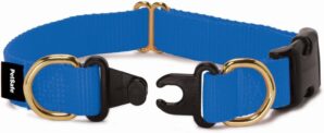 PetSafe Break-Away Collar For Dog Safety