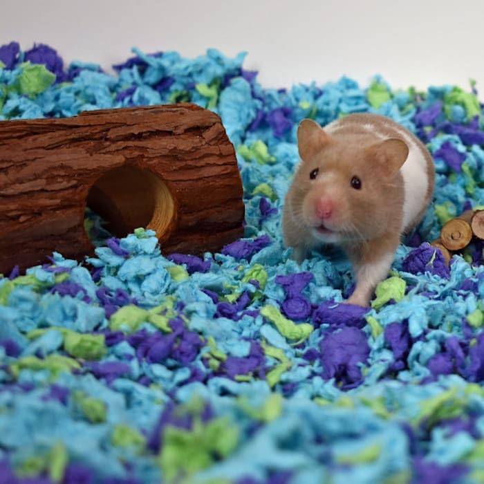 Carefresh Sea Glass Natural Paper Pet Bedding - Image 4