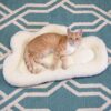 Kitty City Cat Bed House Sofa Rope Bed