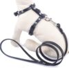 SOCHII Cat Dog Harness Leash Set (XS, Black)